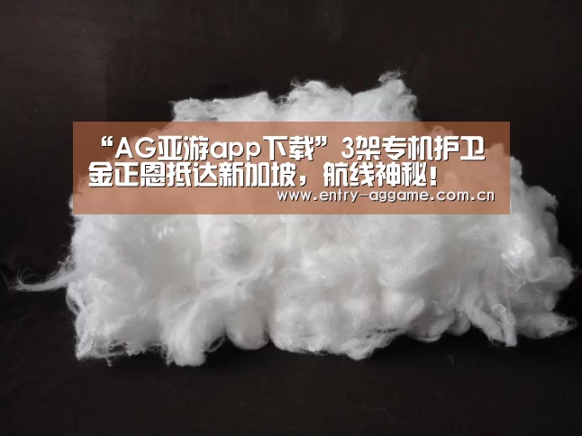 “AG亚游app下载”3架专机护卫金正恩抵达新加坡，航线神秘