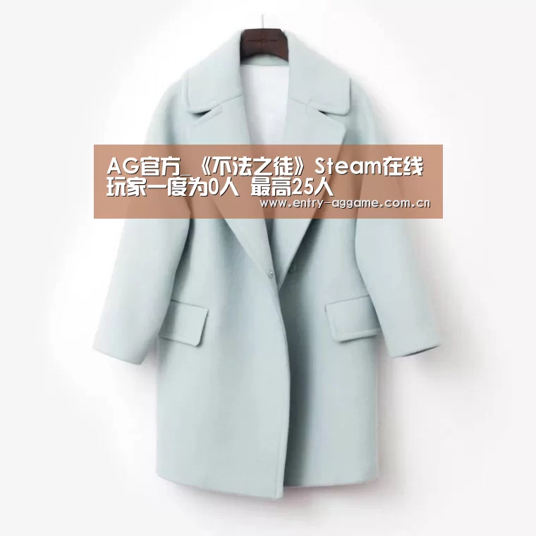 AG官方_《不法之徒》Steam在线玩家一度为0人 最高25人(图2) AG博彩