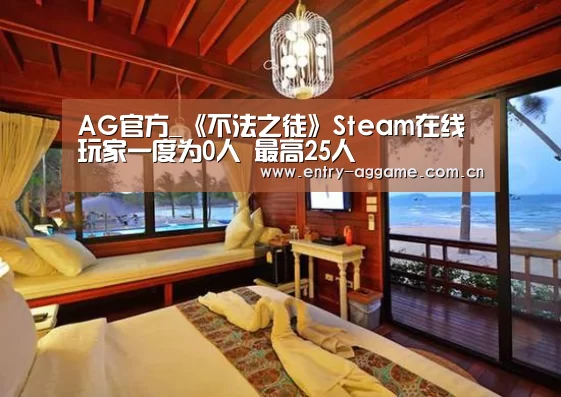 AG官方_《不法之徒》Steam在线玩家一度为0人 最高25人(图3) AG亚游app下载