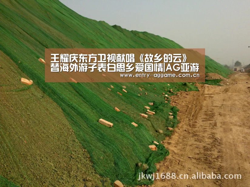 王耀庆东方卫视献唱《故乡的云》替海外游子表白思乡爱国情|AG