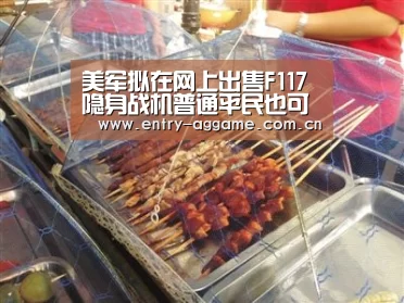 美军拟在网上出售F117隐身战机普通平民也可购买|AG亚游app下载(图3) AG博彩