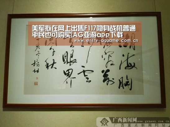 美军拟在网上出售F117隐身战机普通平民也可购买|AG亚游app下载(图2) AG博彩